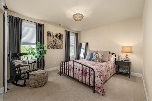 768 Alameda Ave, Nolensville, TN 37135 - photo 46