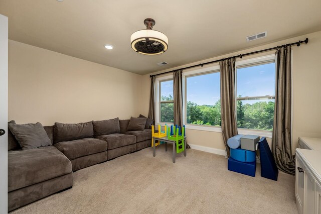 768 Alameda Ave, Nolensville, TN 37135 - photo 44