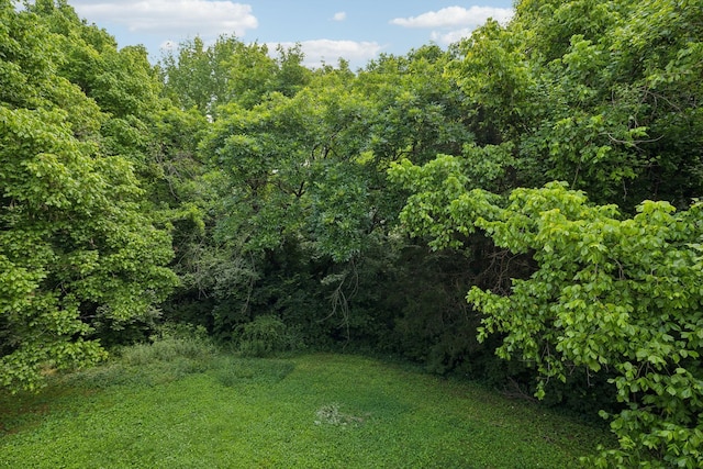 4750 Trenton Dr, Hermitage, TN 37076 - photo 4