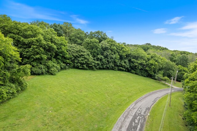 2754 Broyles Ln, Franklin, TN 37069 - view of green lawn featuring driveway
