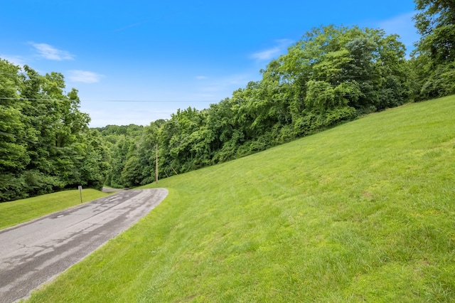 2754 Broyles Ln, Franklin, TN 37069 - view of asphalt street featuring a wooded view