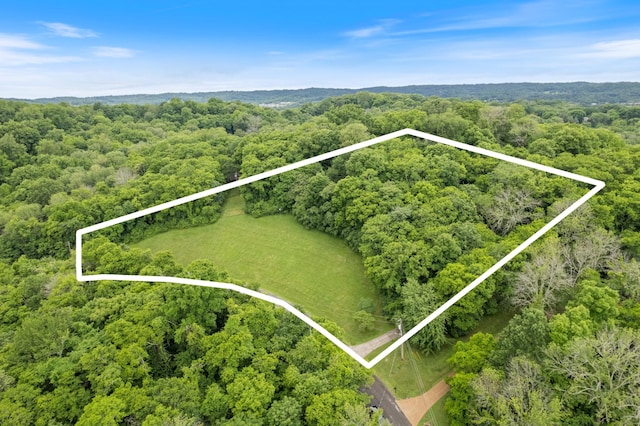 2754 Broyles Ln, Franklin, TN 37069 - aerial view of property's location with a heavily wooded area and property parcel outlined