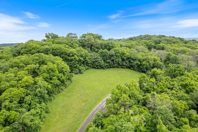 2754 Broyles Ln, Franklin, TN 37069 - bird's eye view of a forest