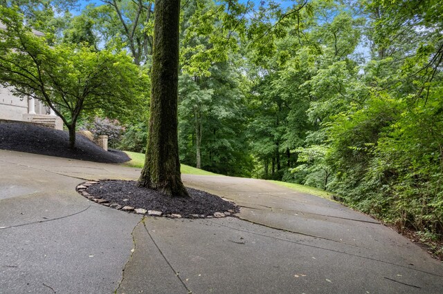 2754 Broyles Ln, Franklin, TN 37069 - view of yard