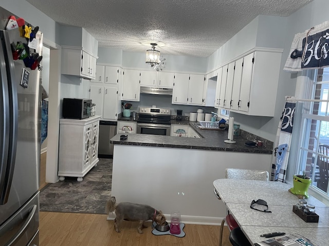 1700 Ellington Dr, Lafayette, TN 37083 - kitchen featuring stainless steel appliances, dark countertops, under cabinet range hood, dark wood-style flooring, and a textured ceiling