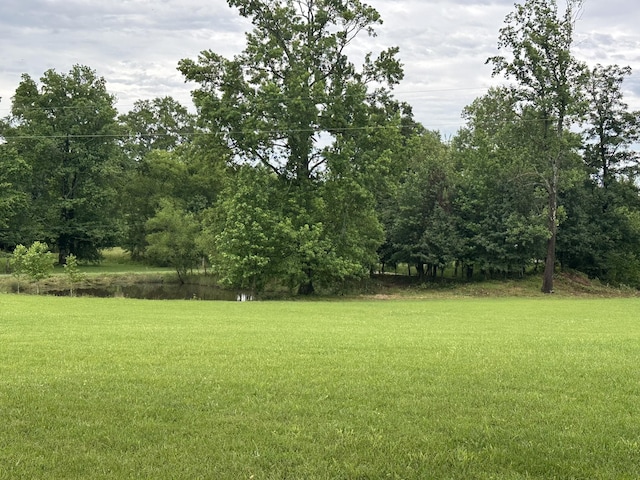 460 Grosch Rd, Manchester, TN 37355 - photo 11