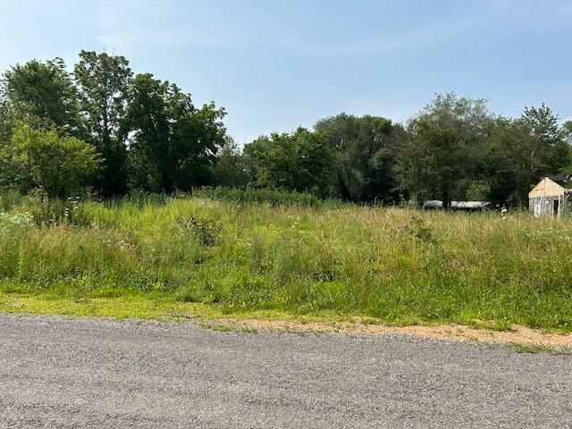 2329 Wayne Rd, Bon Aqua, TN 37025 - photo 3