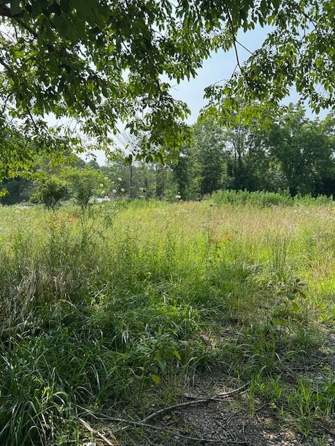 2329 Wayne Rd, Bon Aqua, TN 37025 - photo 2