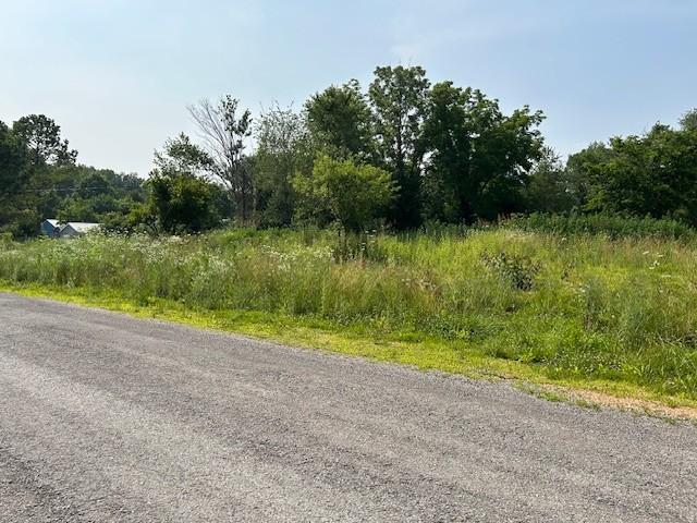 2329 Wayne Rd, Bon Aqua, TN 37025 - photo 1
