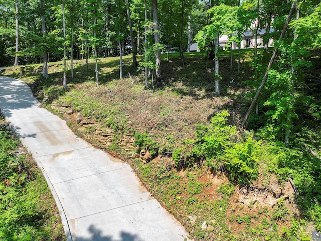 1288 Rogues Fork Rd, Bethpage, TN 37022 - view of property's community