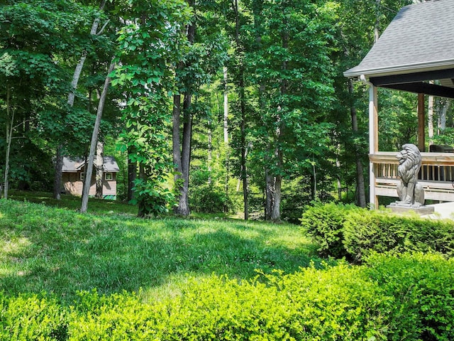 1288 Rogues Fork Rd, Bethpage, TN 37022 - view of grassy yard