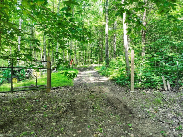 1288 Rogues Fork Rd, Bethpage, TN 37022 - view of dirt / gravel road with a gate and a view of trees