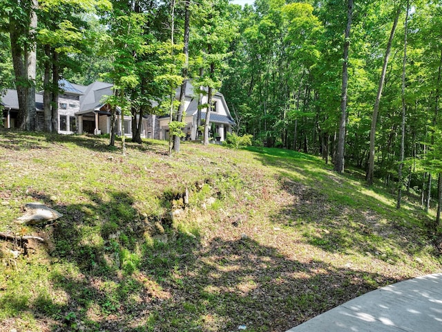 1288 Rogues Fork Rd, Bethpage, TN 37022 - view of yard featuring a view of trees
