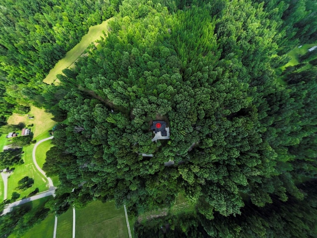1288 Rogues Fork Rd, Bethpage, TN 37022 - aerial view of property and surrounding area