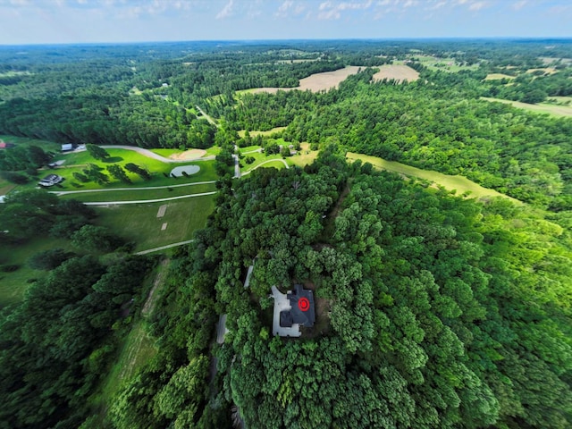 1288 Rogues Fork Rd, Bethpage, TN 37022 - aerial overview of property's location with a heavily wooded area