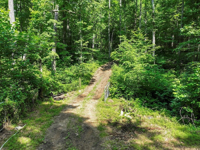 1288 Rogues Fork Rd, Bethpage, TN 37022 - view of tree filled area