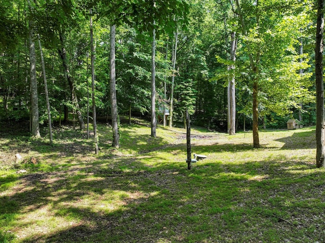 1288 Rogues Fork Rd, Bethpage, TN 37022 - view of green lawn