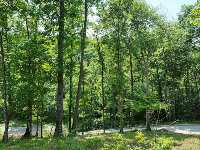 1288 Rogues Fork Rd, Bethpage, TN 37022 - view of woods