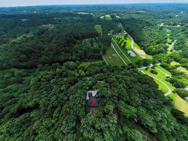 1288 Rogues Fork Rd, Bethpage, TN 37022 - aerial view of property's location featuring a heavily wooded area
