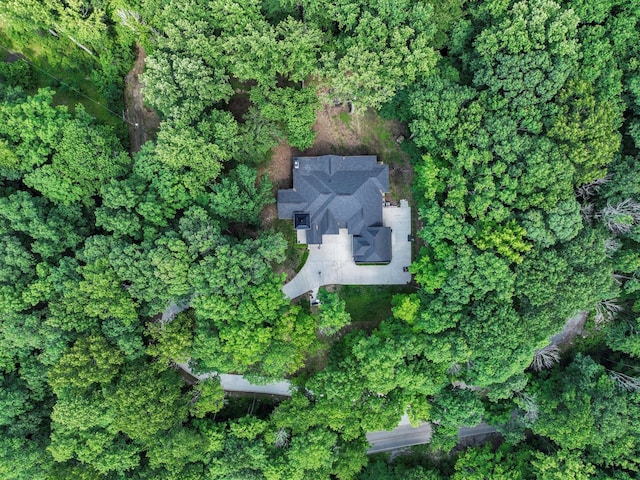 1288 Rogues Fork Rd, Bethpage, TN 37022 - aerial overview of property's location