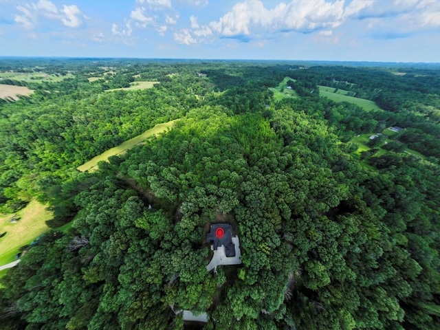 1288 Rogues Fork Rd, Bethpage, TN 37022 - aerial overview of property's location with a heavily wooded area
