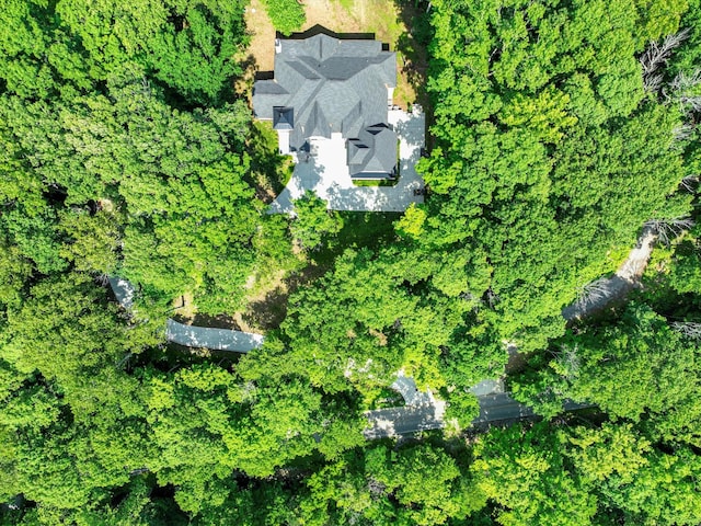 1288 Rogues Fork Rd, Bethpage, TN 37022 - aerial view of property's location