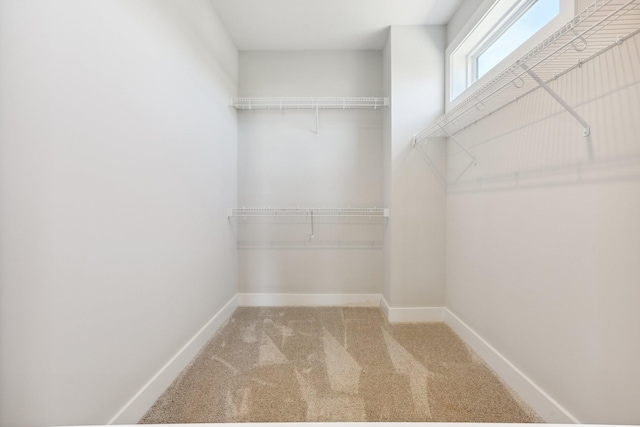 107 E 9th St Unit C5, Columbia, TN 38401 - walk in closet with carpet floors