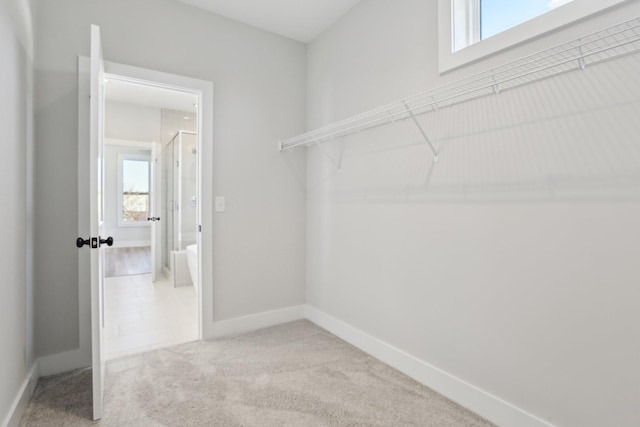 107 E 9th St Unit C6, Columbia, TN 38401 - spacious closet featuring carpet floors