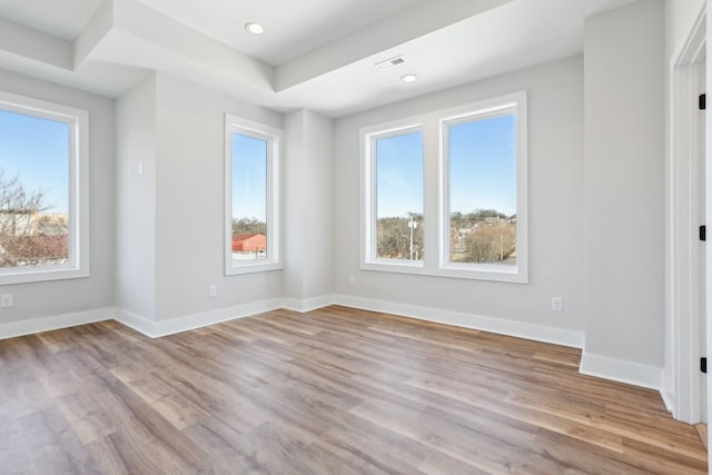 107 E 9th St Unit C6, Columbia, TN 38401 - unfurnished room featuring plenty of natural light, light wood finished floors, baseboards, recessed lighting, and a tray ceiling