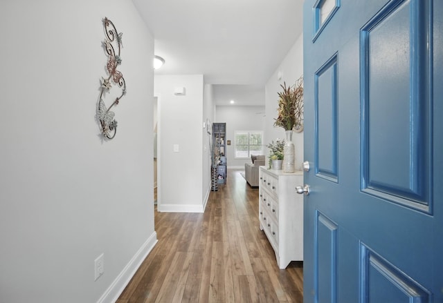 1175 Eagles Nest Ln, Clarksville, TN 37040 - entryway with dark wood-style flooring and baseboards