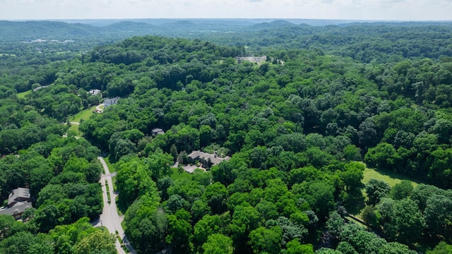 4345 Chickering Ln, Nashville, TN 37215 - photo 64