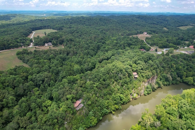 1 Pates Hl, Mosheim, TN 37818 - photo 21