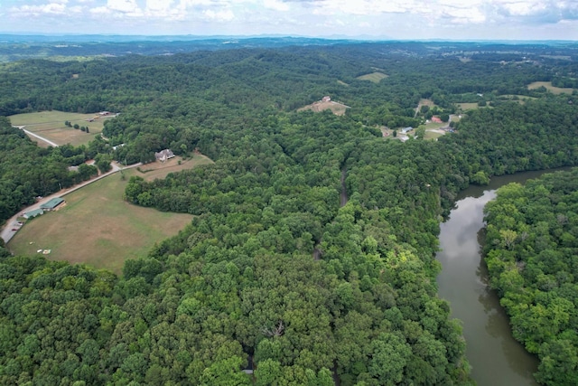 1 Pates Hl, Mosheim, TN 37818 - photo 17