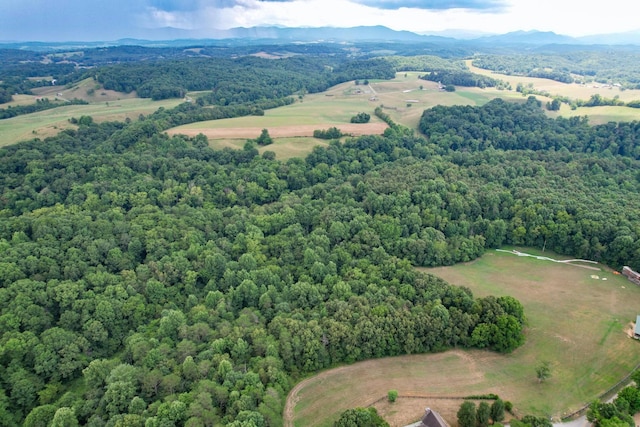 1 Pates Hl, Mosheim, TN 37818 - photo 10