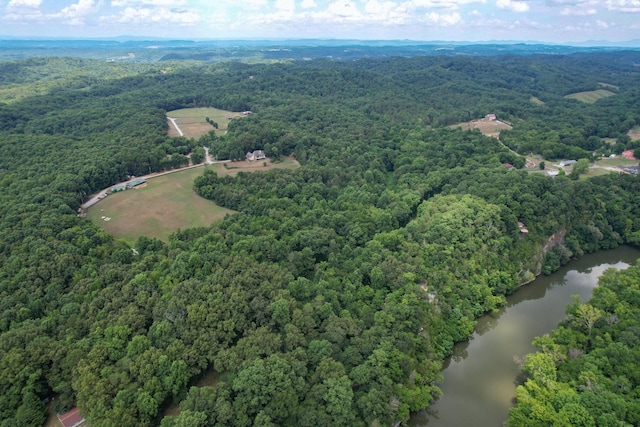 1 Pates Hl, Mosheim, TN 37818 - photo 19