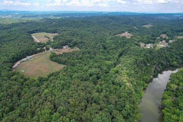 1 Pates Hl, Mosheim, TN 37818 - photo 18