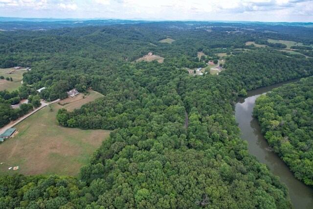 1 Pates Hl, Mosheim, TN 37818 - photo 16