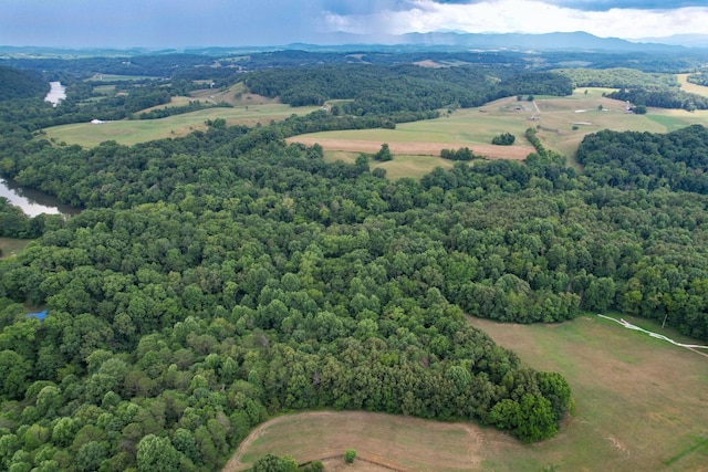 1 Pates Hl, Mosheim, TN 37818 - photo 11