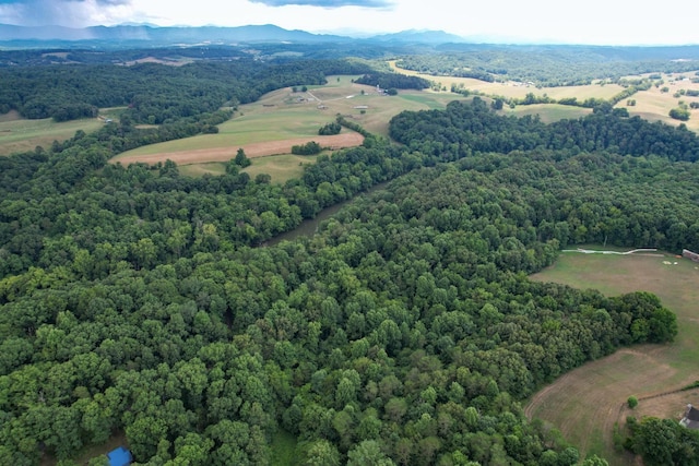1 Pates Hl, Mosheim, TN 37818 - photo 9