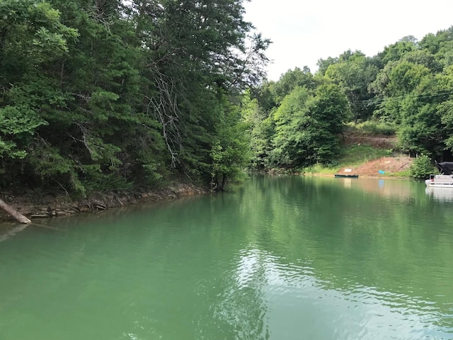 13 Pleasure Rd, Sevierville, TN 37876 - photo 15