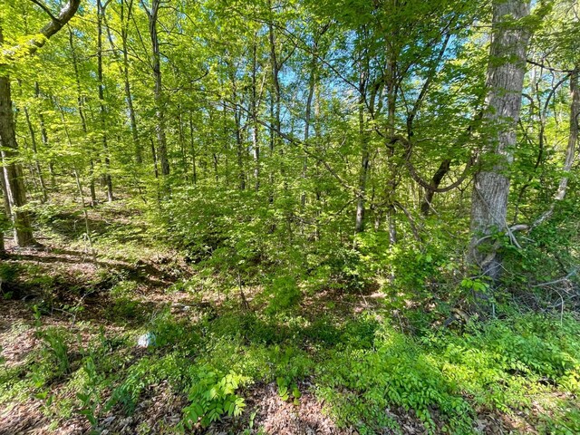 13 Pleasure Rd, Sevierville, TN 37876 - photo 19