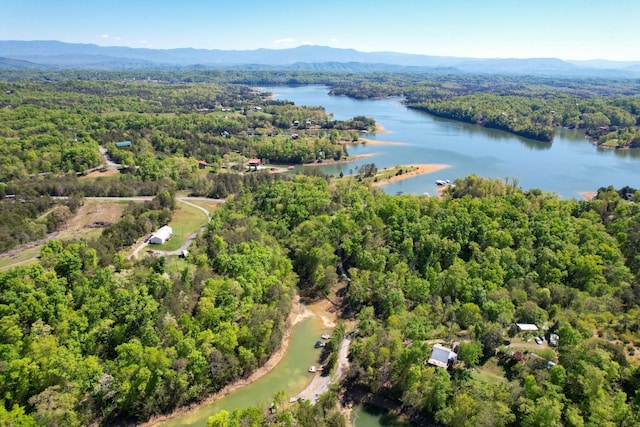 13 Pleasure Rd, Sevierville, TN 37876 - photo 10