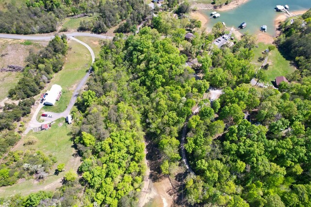 13 Pleasure Rd, Sevierville, TN 37876 - photo 8