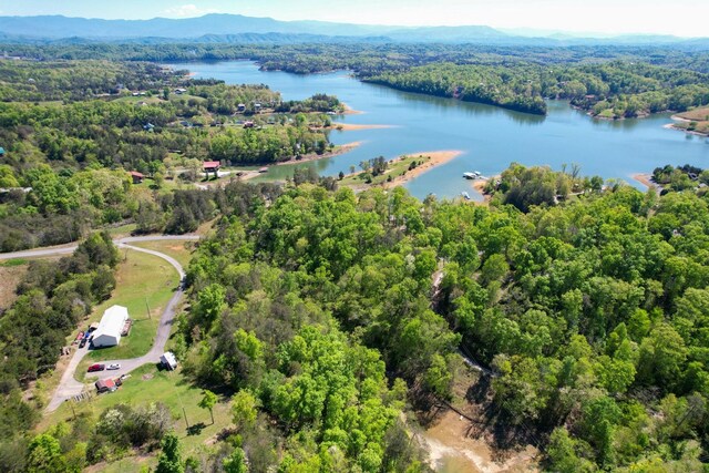 13 Pleasure Rd, Sevierville, TN 37876 - photo 6