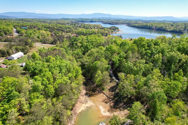 13 Pleasure Rd, Sevierville, TN 37876 - photo 9