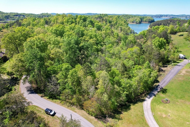 13 Pleasure Rd, Sevierville, TN 37876 - photo 2