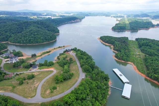6377 Coves Edge Trl, Russellville, TN 37860 - photo 16