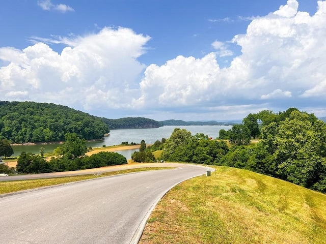 6377 Coves Edge Trl, Russellville, TN 37860 - photo 2