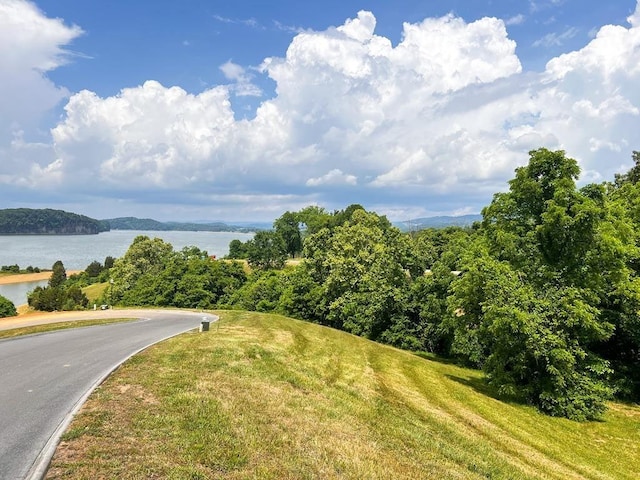 6377 Coves Edge Trl, Russellville, TN 37860 - photo 1