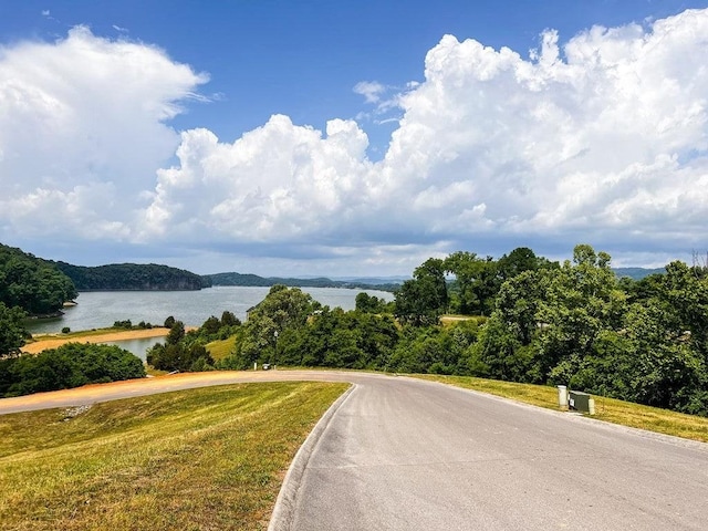 6377 Coves Edge Trl, Russellville, TN 37860 - photo 6